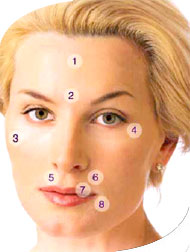 1. Frown Lines 2. Glabellar Lines 3. Acne Scars - Trauma Scars 4. Periorbital Lines (Crow's Feet) 5. Perioral Lines 6. Nasolabial Folds (Smile Lines) 7. Vermillion Border (Lip Lines) 8. Melolabial Lines (Marionette Lines)